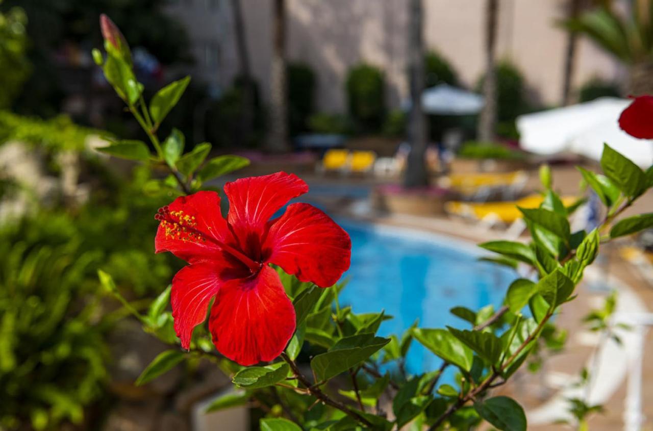 Hotel Guitart Rosa - Adults Only Lloret de Mar Exterior photo